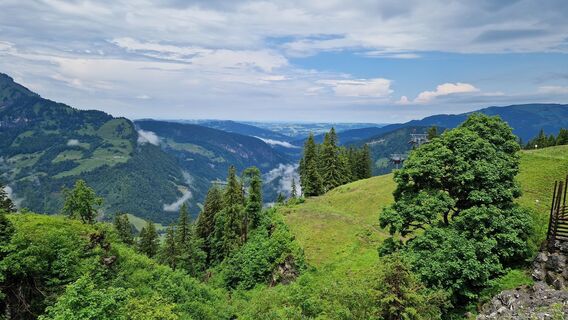 Foto från Gerrit van der Linde under resans gång