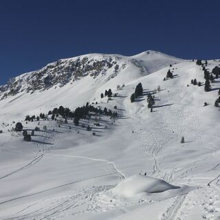 Vom Punkt 2196 mit Blick auf den Munt Buffalora