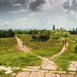 Zwei Personen wandern auf dem Schliffkopfgipfel