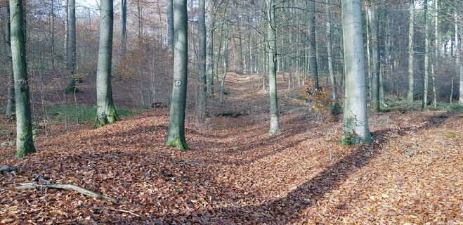 Landwehrweg im Herbst