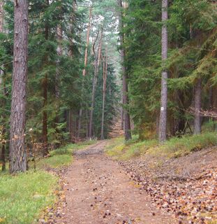 Romantischer Weg