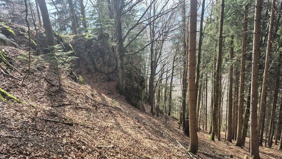 Foto de Szuki76 a lo largo del recorrido