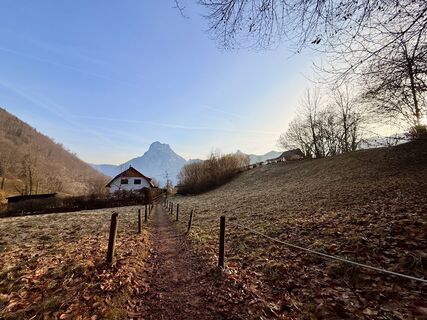 Foto von Natur_erleben_dg entlang der Tour