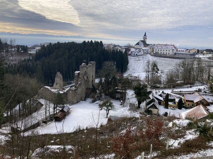 Fotografie de la Flora 1952 de-a lungul turului