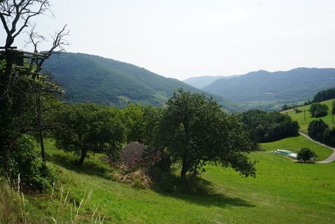 Jauerling-Runde 07: Mühldorf-Spitz