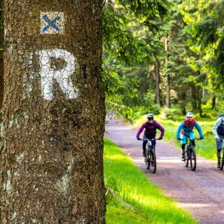 Mountainbiker am Rennsteig