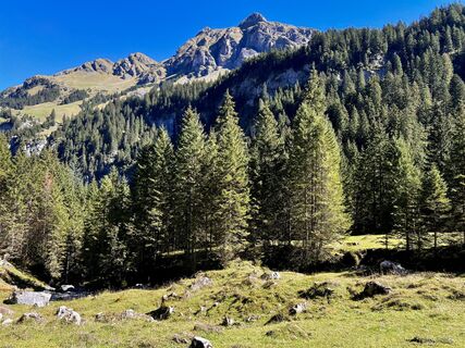 Fotografija s spletne strani F A 4 na poti