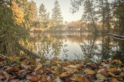 Stadtrainsee Waldkirch CR ZweiTaelerLand JSeidl