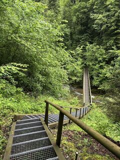 Foto fra Cyrill Bischof undervejs på turen