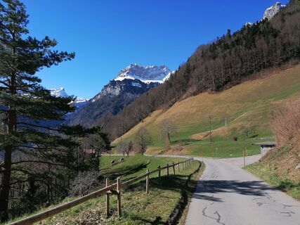 Fotografie z luyyy na trase