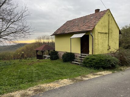 Foto von Tuti Dugovics entlang der Tour