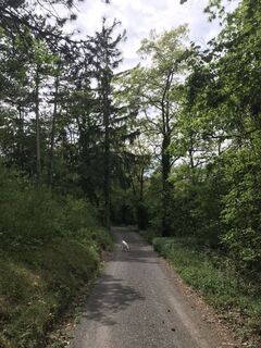 Fotografija s spletne strani Maxspeed na poti