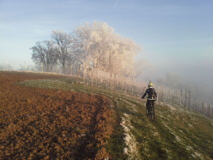 Radeln in der Natur