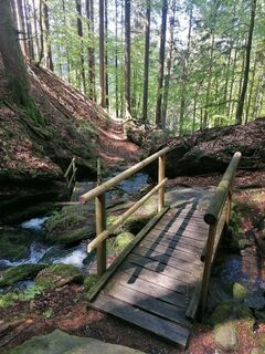 Fotografie z Dagmar Hofer na trase