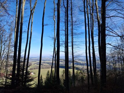 Foto von Hans Huber entlang der Tour