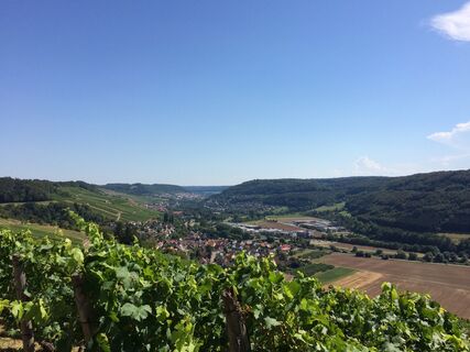 Ingelfingen-Criesbach