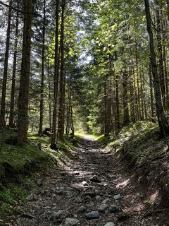 Photo de Jürgen Clement le long du parcours