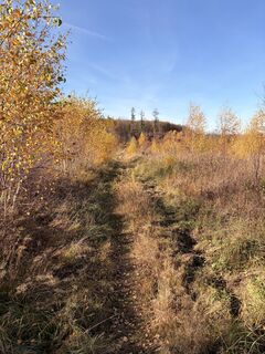 Fotografia z TallWanderBilly na trase