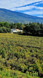 Photo de Fabrizi Mellano le long du parcours
