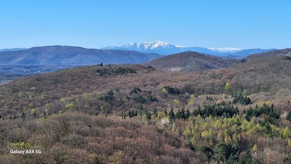Foto von Susanna Sunk entlang der Tour