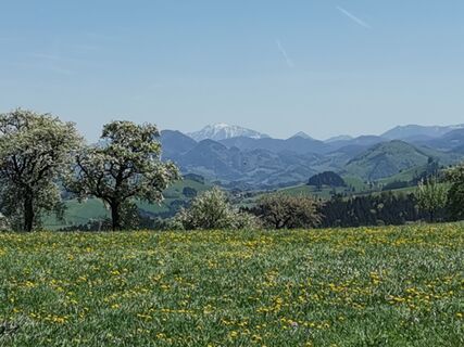 Foto de Franz Wirleitner a lo largo del recorrido