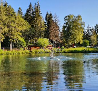 Etang d'Ycoor