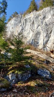 Фото с сайта E.U. во время экскурсии