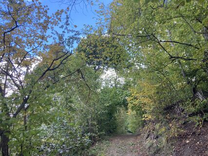 Photo de Reinhard S le long du parcours