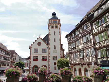 Mosbach Rathaus und Palmsches Haus