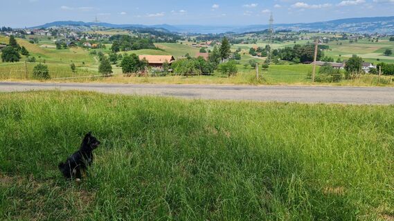 Foto von kurthofstetterschweiz entlang der Tour