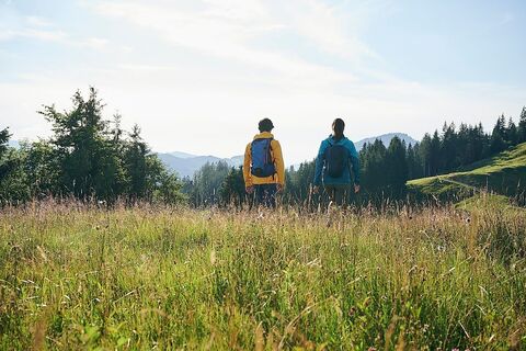 Wandern am Rindberg in Sibratsgfäll