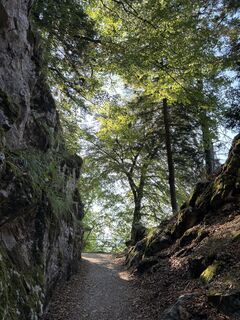 Fotografija s spletne strani Kusiek Lara na poti
