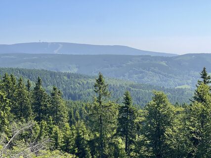 2025-06-13🇨🇿Plêsivec Merklin