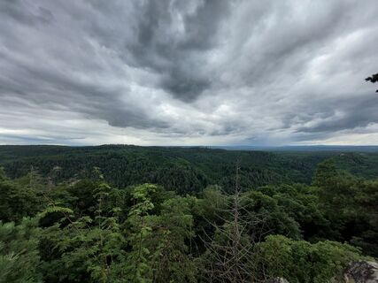 Fotografija s spletne strani Maren Auer na poti