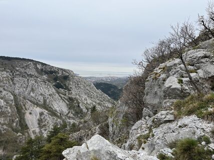 Photo de algra le long du parcours