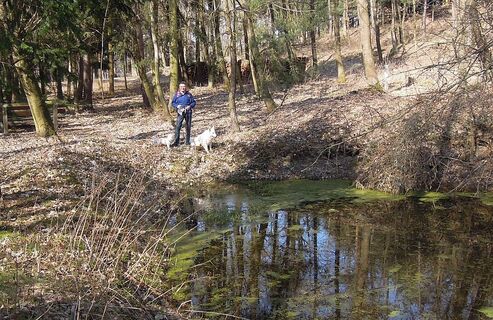 Panoramarunde LOIBNERBERG/Wachau