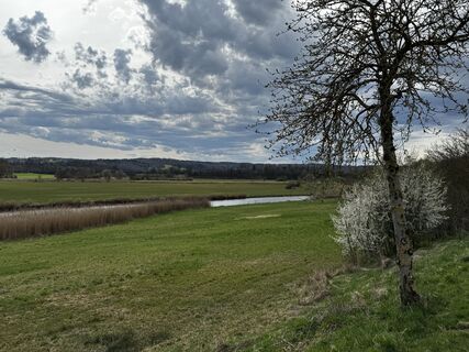 Fotografia z Schaali na trase
