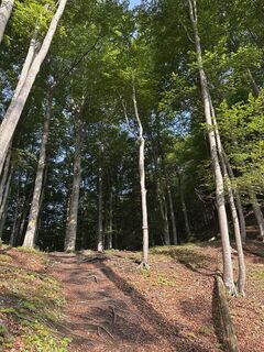 Photo de Robert Sallaberger le long du parcours