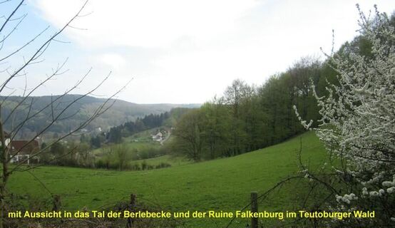 Tal der Berlebecke mit Ruine Falkenburg inmitten der weiten Wälder des Teutoburger Waldes 