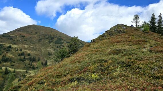 Photo de Veronika Strauss le long du parcours