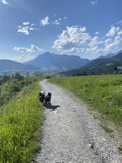 Fotografie z Florian Gerl na trase