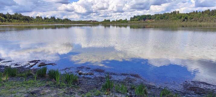 Hofstätter See
