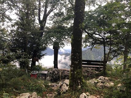 Rotmäuer in Weyer