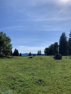 Foto von Franco Nicastro 1 entlang der Tour