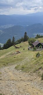 Foto von Roman Kramer entlang der Tour