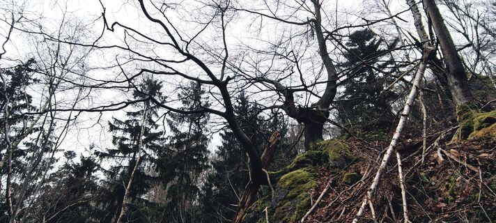 Foto von Jan 2505 entlang der Tour