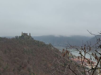 Fotografija s spletne strani Sylvia Bierbaumer na poti