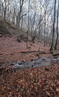 Foto von János Zsolt Mahr entlang der Tour