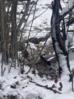 Foto da Kristijan Držaj lungo il tour