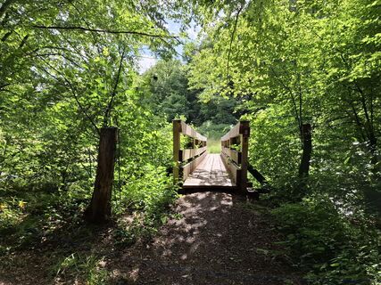 Foto von nordbergschnecke entlang der Tour